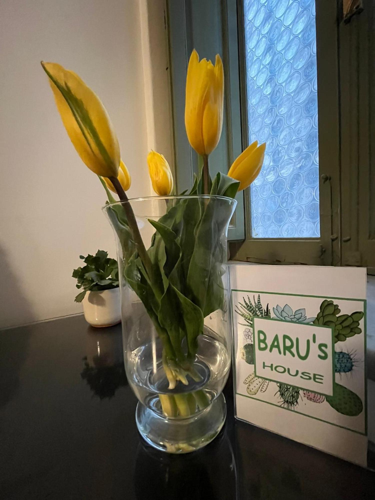 ホテル Baru'S House パレルモ エクステリア 写真